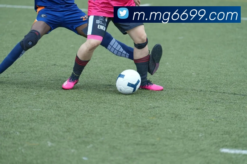 MG娱乐平台官网发展历程